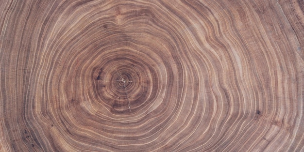 brown wood background with cross section