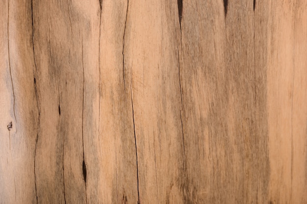 Brown wood texture. Abstract background