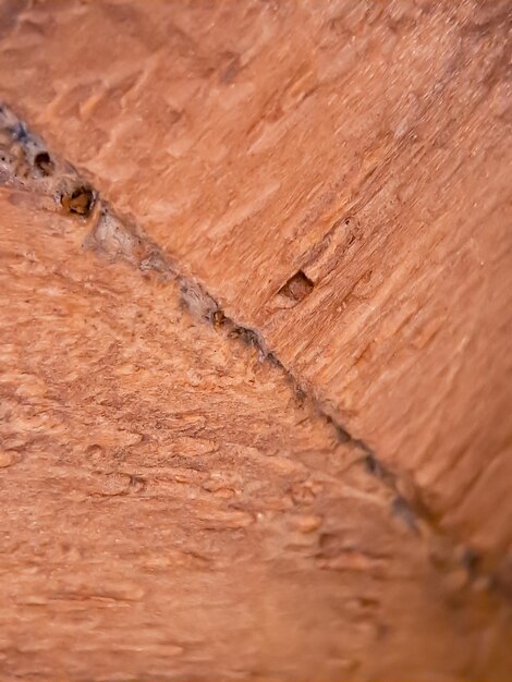 Brown wood texture macro suitable for wallpaper background