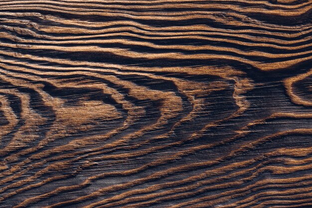 Brown wood texture. Wood