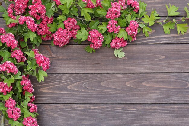 ピンクの花のフレームと茶色の木製の背景