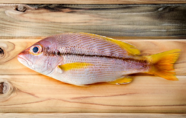 Brownstripe Snapper seafood fish.