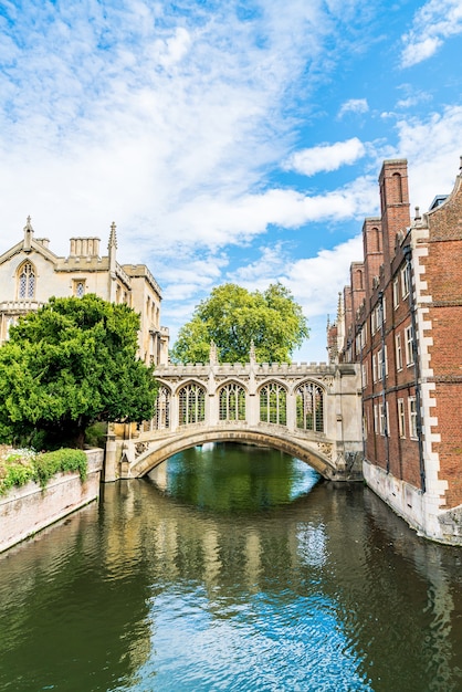 Brug der zuchten in cambridge