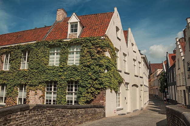 brug en bakstenen gebouwen met kruiper op kanaal van een bruges een stad vol kanalen in belgië