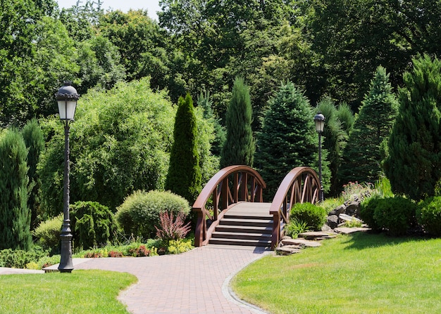 Brug en planten in het park