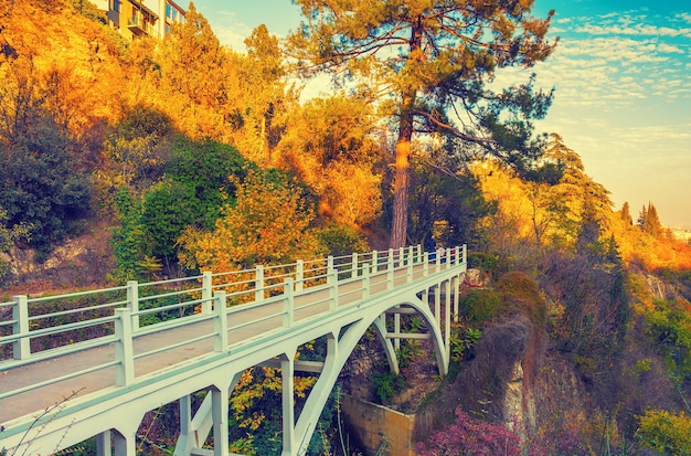 Brug in de herfst botanische tuin in Tbilisi, Georgië country