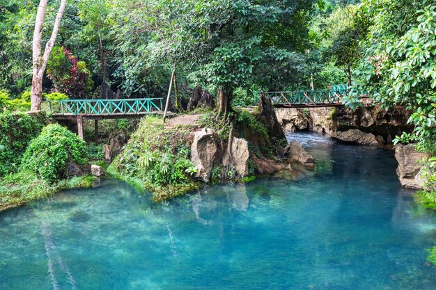 Brug in de jungle