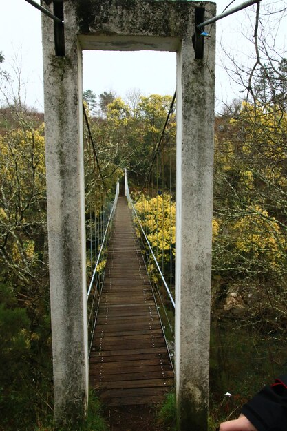 Foto brug in het bos tegen de lucht