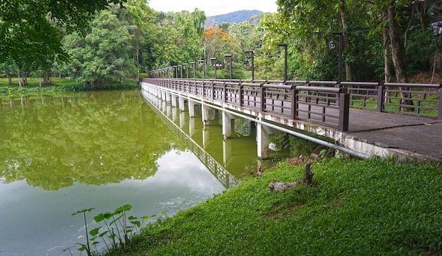 Brug in het midden van de rivier die oversteekt naar de natuur met groene bomen op de bestemmingsweergave shad