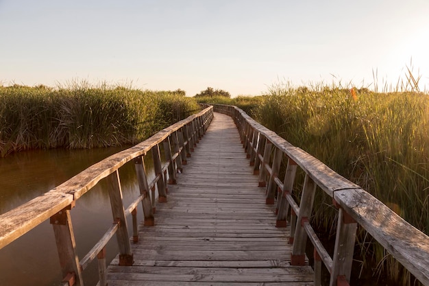 Brug om het nationale park tablas de daimiel in spanje te bezoeken