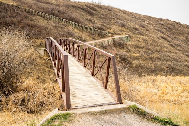 Brug op voetpad in landelijk landschap