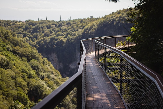 Foto brug over bomen tegen de lucht