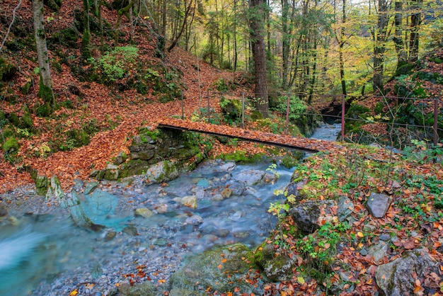 Brug over de rivier i