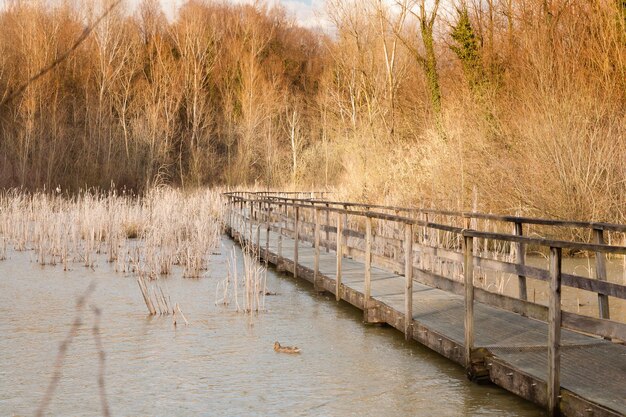 Foto brug over de rivier