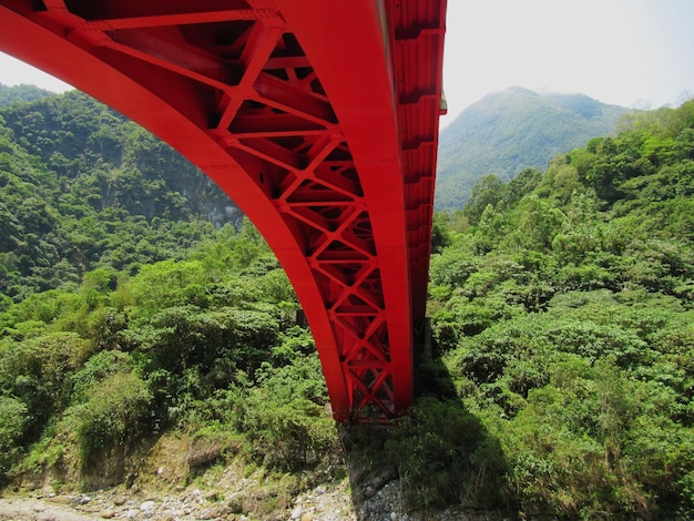 Foto brug over de rivier