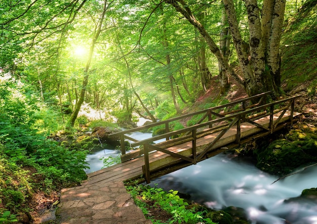 Brug over de Tara-rivier in Montenegro