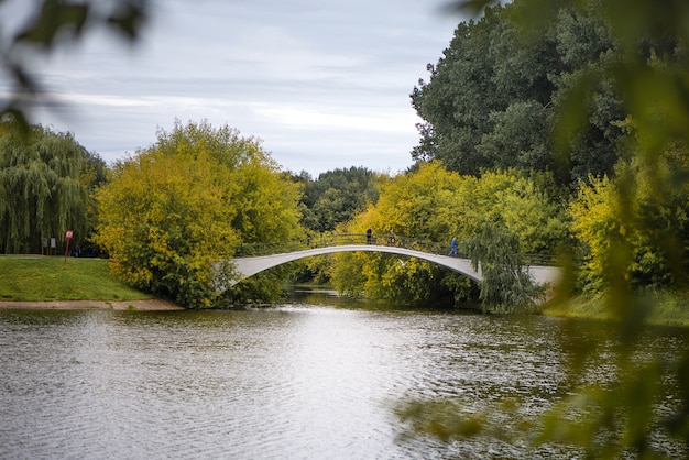 Brug over het meer in het publucpark in de zomer