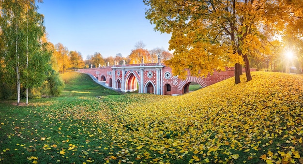 Brug over het ravijn in het Tsaritsyno-park in Moskou