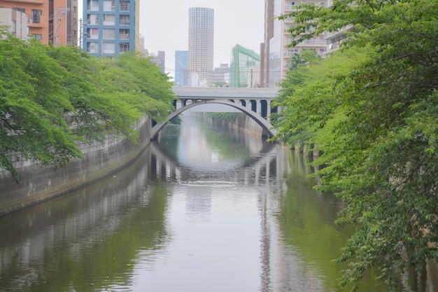 Foto brug over rivier door gebouwen in de stad