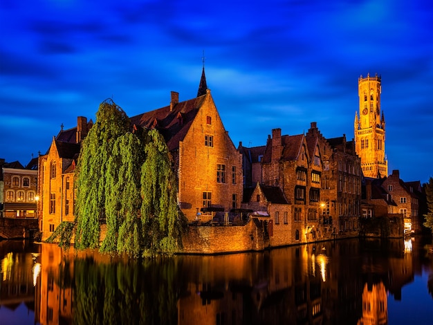 Bruges Rozenhoedkaai with Belfry and old houses along canal with tree in the night Brugge Belgium