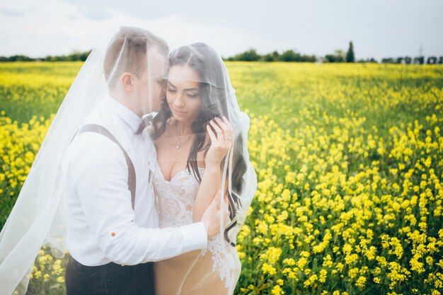 Bruid en bruidegom knuffelen op huwelijksdag, gelukkige jonge paar zoenen in park in de natuur, valentijnsdag