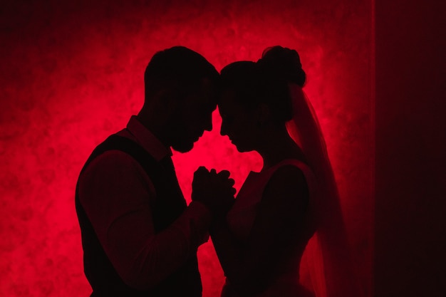 Bruid en bruidegom op een rode achtergrond, het concept familierelaties