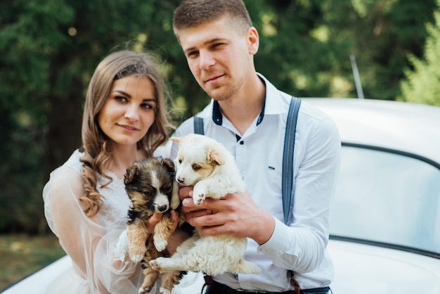 Bruid met bruidegom met hun puppy's op hun trouwdag