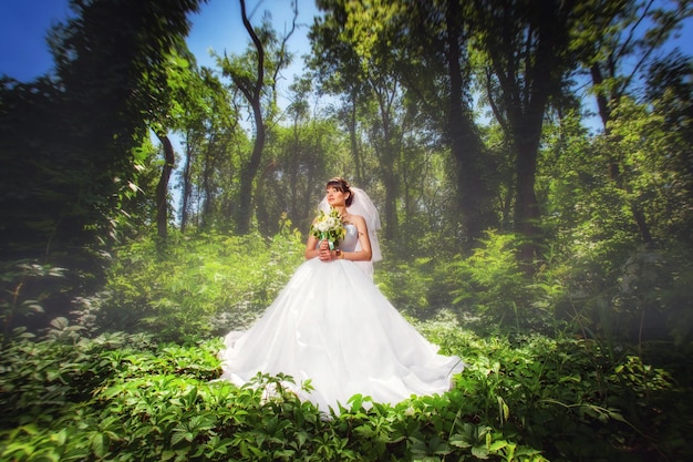 Bruid op bruiloft in het geweldige zomerbos