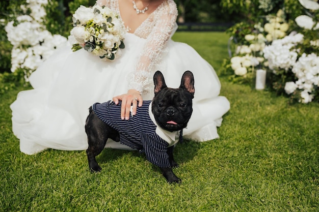 Bruid raakt haar Franse bulldog aan, gekleed in smoking voor huwelijksceremonie