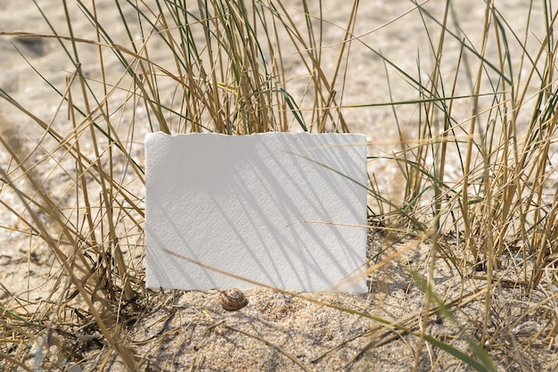 Bruiloft uitnodigingskaart mockup voor presentatie van uw kunst Plat lag bovenaanzicht Zeeschelp achtergrond