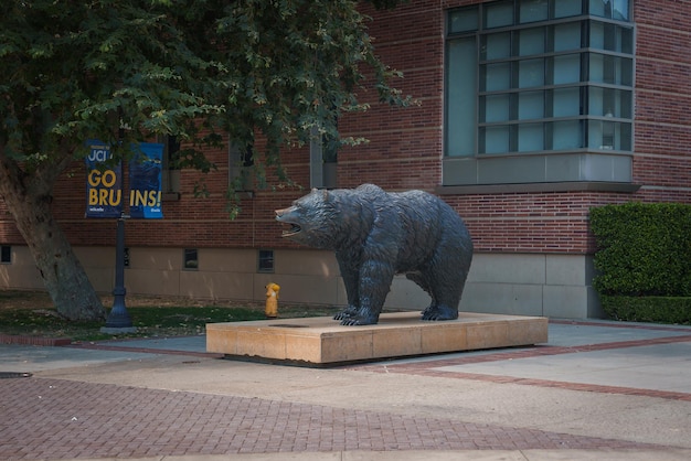 Bruin Bear Statue bij UCLA met School Spirit Banner en Campus Elements