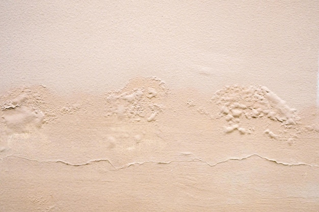 Bruin muurvocht beschadigd met afbladderende verf