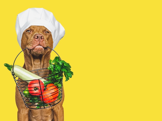 Bruin puppy en mandje verse groenten