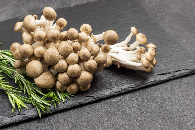 Bruine beukenzwammen, Shimeji-paddenstoelen en takjes rozemarijn.