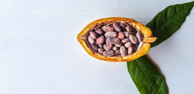 Bruine cacaobonen in half gesneden cacaofruit met groen cacaoblad op witte houten achtergrond