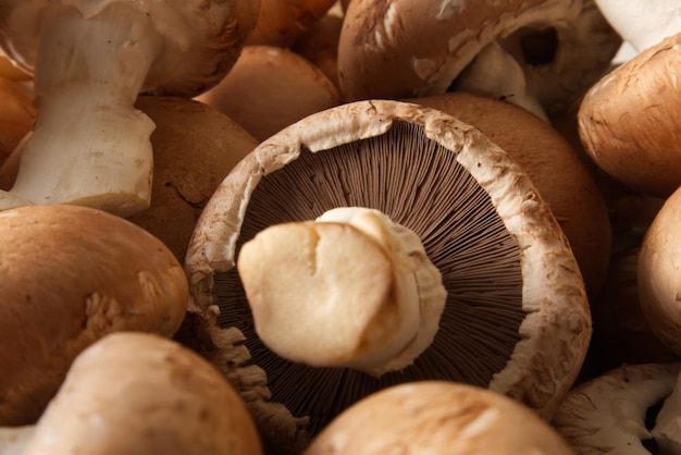 Bruine dop champignons in verschillende vormen en maten close-up bovenaanzicht