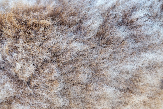 Bruine fleece textuur achtergrond, schapen