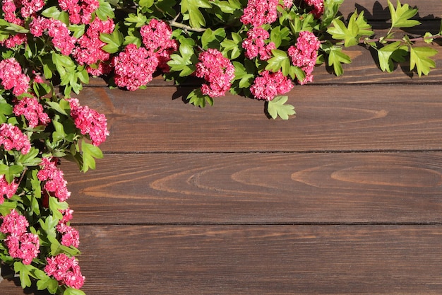 bruine houten achtergrond met roze bloemen frame