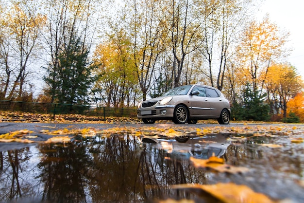 Bruine Japanse hatchback op herfstweg in regenachtige dag