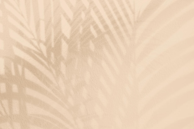 Bruine kleur achtergrond met palmboom