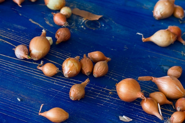 Bruine onbehandelde uien op een blauwe houten oude bord