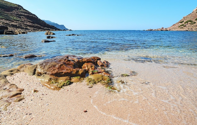 Bruine rots in Porticciolo strand Sardinië