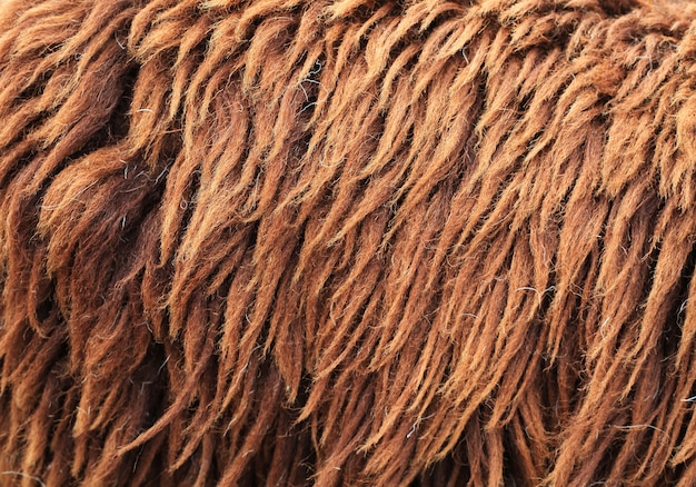 Bruine schapenvacht textuur