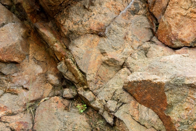 Bruine steen of rotsachtergrond Aarddetail van rotsen Close-up ruwe bruine stenen muur