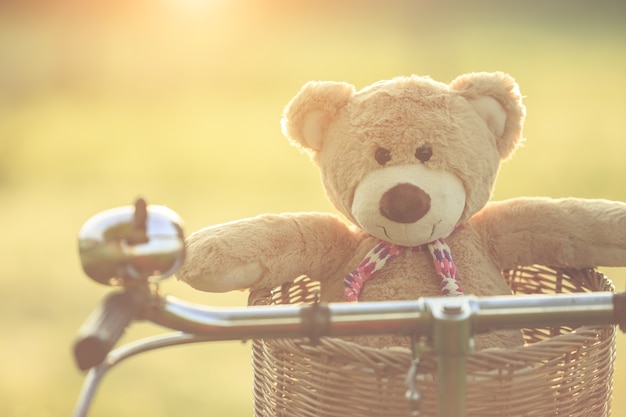 Bruine teddybeer in rotanmand op rode uitstekende fiets