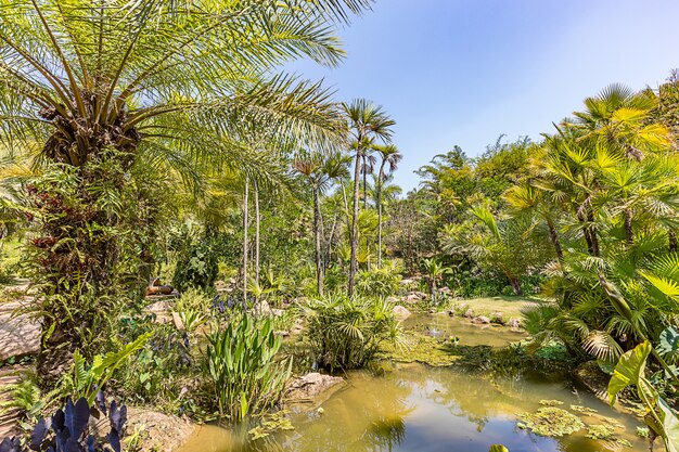 Brumadinho, Minas Gerais, Brazilië. Uitzicht op Inhotim Gardens