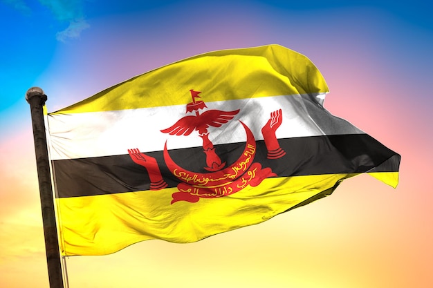 brunei country flag, 3d flag, and color background.