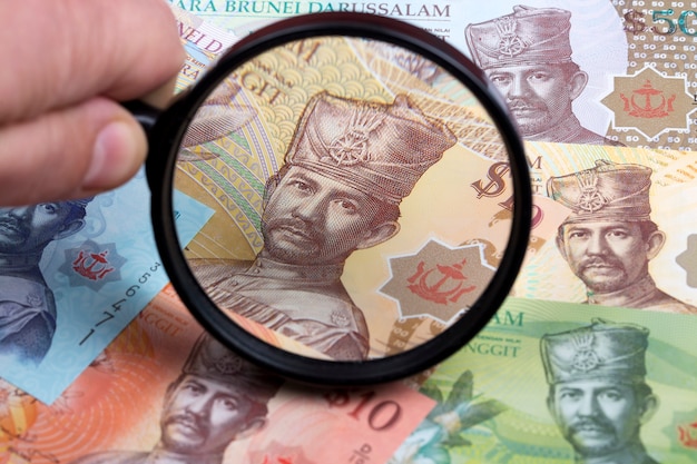 Brunei dollar in a magnifying glass