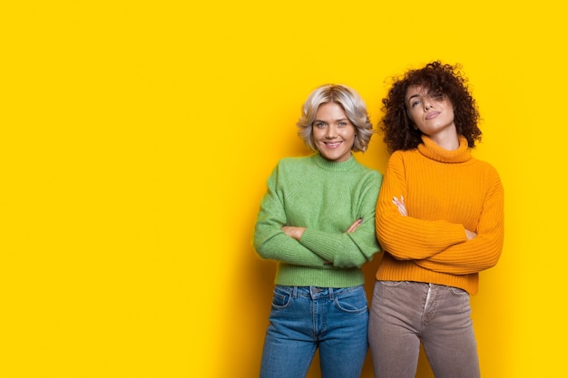 갈색 머리와 금발 아가씨는 뭔가를 광고하는 동안 노란색 벽에 교차 손으로 포즈를 취하고 있습니다.