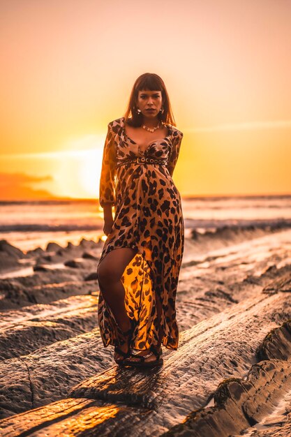 Brunette Caucasian woman in a leopard dress by the sea and rocks